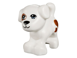 Dog, Friends, Puppy, Standing with Bright Light Blue Eyes, Black Nose and Mouth, Reddish Brown Patch and Spots Pattern (Charlie / Jacky)