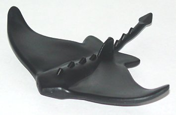 Manta Ray / Stingray