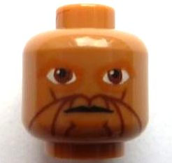 Minifigure, Head Alien with SW Eeth Koth Pattern