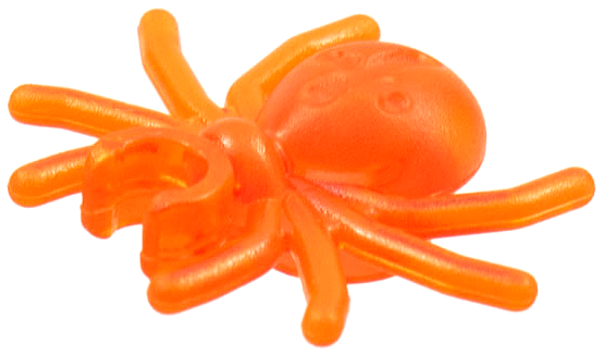 Spider with Round Abdomen and Clip