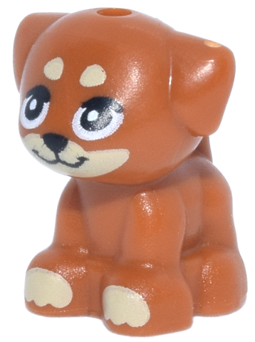 Dog, Friends, Puppy, Standing, Small with Tan Muzzle, Paws and Spots Pattern (Aira)