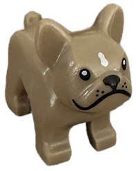 Dog, French Bulldog with Black Eyes, Nose, Mouth, and Whiskers, White Spot on Forehead Pattern