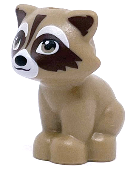 Raccoon, Friends with White Muzzle, Black Nose, Dark Brown Markings on Face, Ears and Tail Pattern