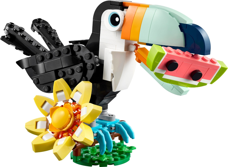 Tropical Toucan
